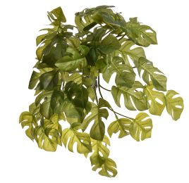 VARI SPLIT PHILO HANGING BUSH X8 35CM GREEN