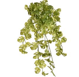 SPLIT PHILO HANGING BUSH X12 70CM WHITE GREEN