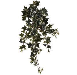 BUSH X 9 W/170LVS HOLLAND