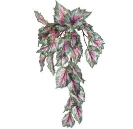 BEGONIA HANGING BUSH 47CM GREEN RED