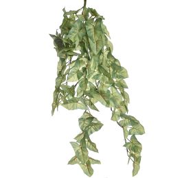 SYNGONIUM BUSH 100CM GREEN