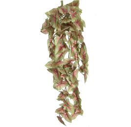 SYNGONIUM BUSH 100CM GREEN RED