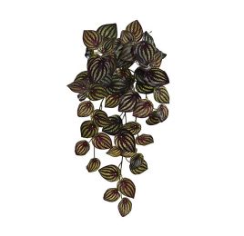 WATERMELON PEPEROMIA HANGING BUSH W/66LVS 40CM BURGUNDY GREEN