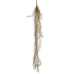 TILLANDSIA BUSH 110CM BROWN
