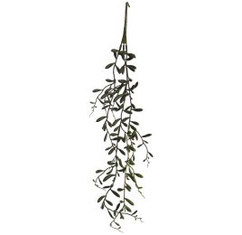 SENECIO HALIANUS 50CM GREEN