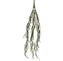 TIRUCALLI HANGING 50CM GREEN