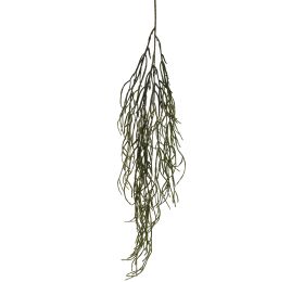 TIRUCALLI HANGING 80CM GREEN