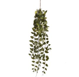 MONEY LVS HANGING BUSH 75CM GREEN
