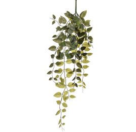 MONEY LVS HANGING 30CM GREEN