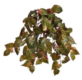 PHILO LEAF HANGING BUSH PINK GREEN