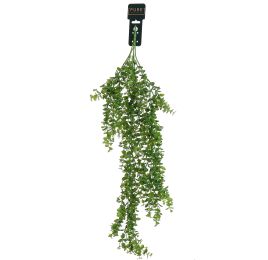 HANGING BOXWOOD 80CM GREEN