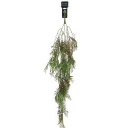 HANGING CYPRESS 115CM GREEN