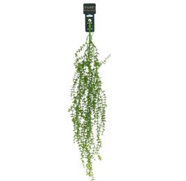 HANGING EUCALYPTUS 95CM GREEN