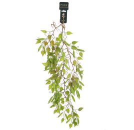 HANGING FICUS 95CM GREEN