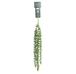 SMALL HANGING SENECIO 65CM GREEN