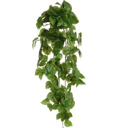 POTHOS BUSH 100CM GREEN