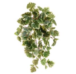 GERANIUM BUSH 50CM WHITE GREEN
