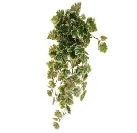 GERANIUM BUSH 70CM WHITE GREEN