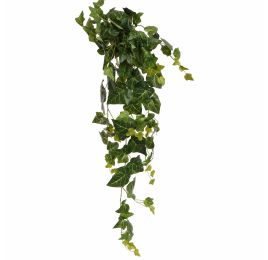 ENGLISH IVY BUSH 90CM GREEN
