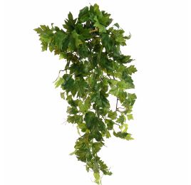 GRAPE LEAF BUSH 75CM GREEN