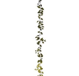 MONEY LVS GARLAND 180CM GREEN