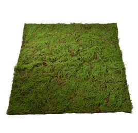 MOSS MAT 100X100CM GREEN