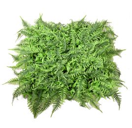 FERN MAT 50X50 GREEN