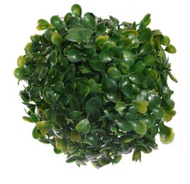 BOXWOOD BALL 15CM