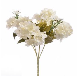 HYDRANGEA BUSH X 5 CREAM