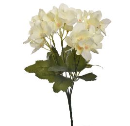 MINI HYDRANGEA BUSH 30CM CREAM
