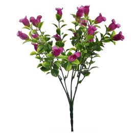 CAMPANULA BUSH 34CM BEAUTY
