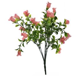 CAMPANULA BUSH 34CM SALMON