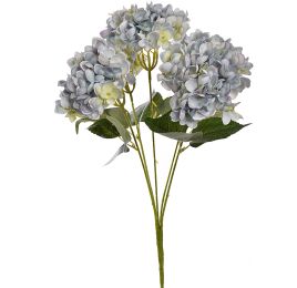 HYDRANGEA X5 BUSH 48CM BLUE