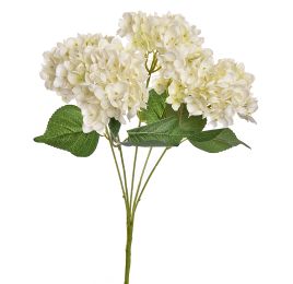 HYDRANGEA X5 BUSH 48CM CREAM