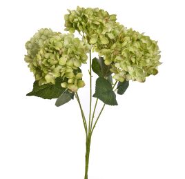 HYDRANGEA X5 BUSH 48CM GREEN