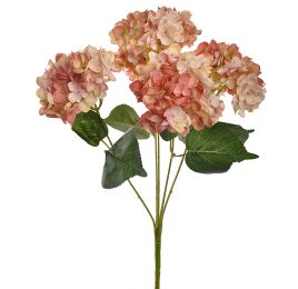 HYDRANGEA X5 BUSH 48CM PEACH