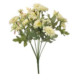 DAHLIA MUM BUSH 30CM CREAM