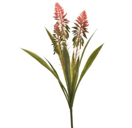 ALOE FLOWER PLANT 54CM ORANGE