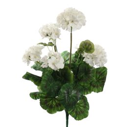 GERANIUM BUSH X9 H47CM CREAM