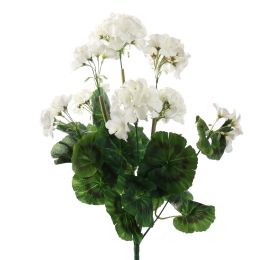 GERANIUM BUSH 49CM CREAM