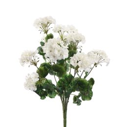 LARGE GERANIUM BUSH 55CM CREAM