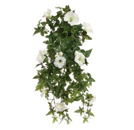 MORNING GLORY BUSH 60CM CREAM