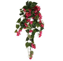 BOUGAINVILLEA BUSH 65CM BEAUTY