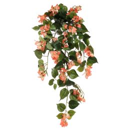 BOUGAINVILLEA BUSH 65CM PEACH