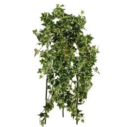 BUSH X 18 W/387LVS 70CM HOLLAND