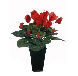 CYCLAMEN BUSH LARGE RED