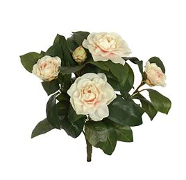 CAMELIA BUSH X 9 30CM CREAM PINK