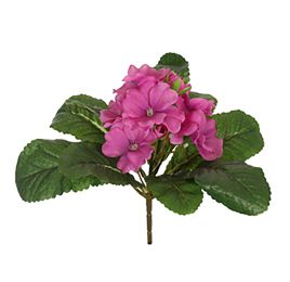 PRIMELA BUSH W/9LVS 19CM BEAUTY