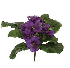 PRIMELA BUSH W/9LVS 19CM VIOLET