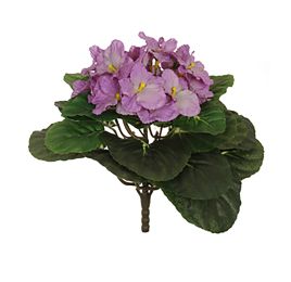 AFRICAN VIOLET BUSH 18CM PURPLE